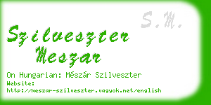 szilveszter meszar business card