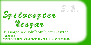 szilveszter meszar business card